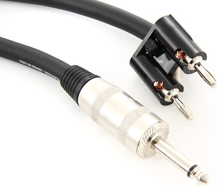 Pro Co S Bq Speaker Cable Inch Ts Male Jumbo To Dual Reverb