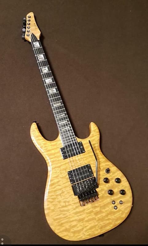 Carvin Dc Kiesel Reverb