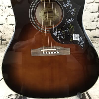 Epiphone Limited Edition Hummingbird Performer Pro Reverb