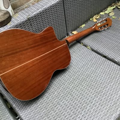 Washburn OJ40 Gypsy Jazz Oval Hole Selmer Maccaferri Style Reverb