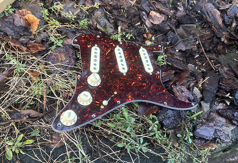 Fender Loaded Custom Shop Stratocaster Pickguard Reverb