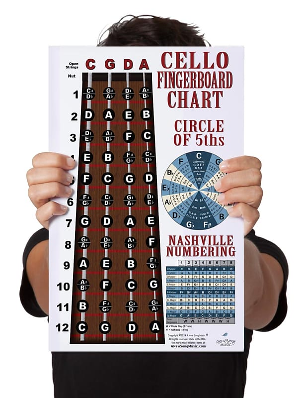 Laminated Cello Fingerboard Instructional Poster Nashville Reverb