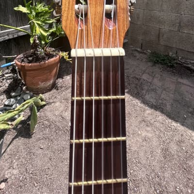 Giannini Serie Estudo 70s Handmade Classical Guitar Reverb