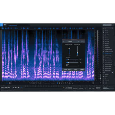 IZotope RX 9 Advanced Audio Restoration And Enhancement Reverb