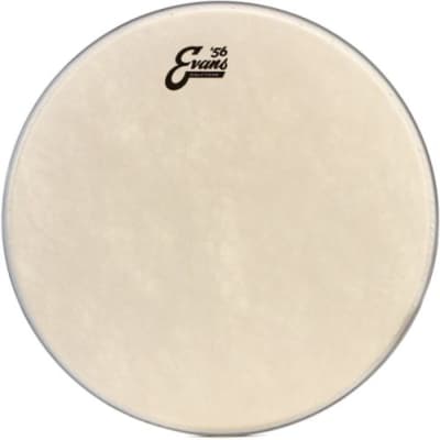 Evans Calftone Drumhead Inch Bundle With Evans Snare Reverb