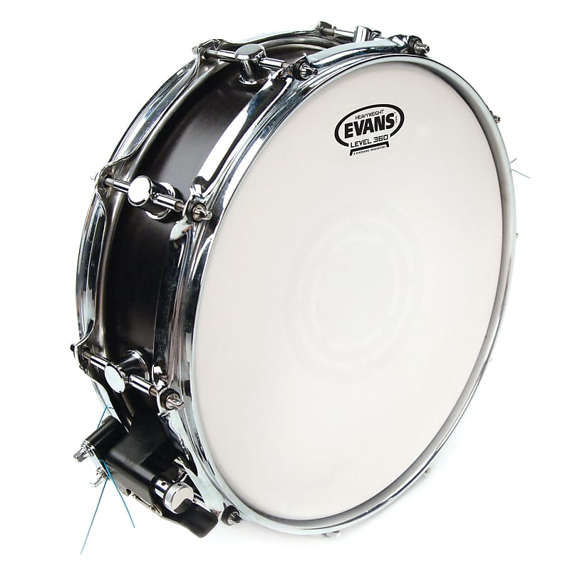 Evans 13 Heavyweight Snare Drum Head Reverb