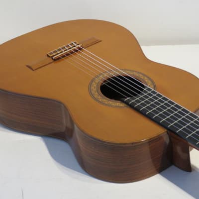 Raimundo Model Classical Acoustic Guitar With Reverb Deutschland