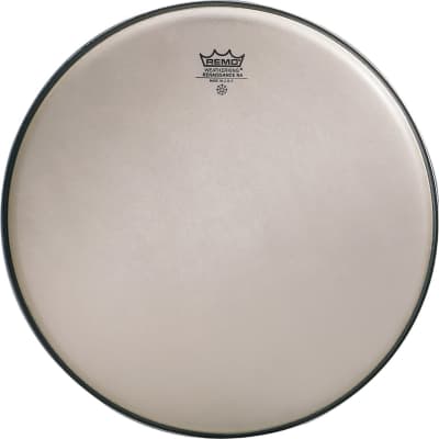 Ambassador Renaissance Series Drumhead For Snare Tom Reverb