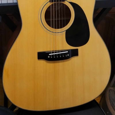 Morris F Acoustic Guitar Made In Japan Reverb