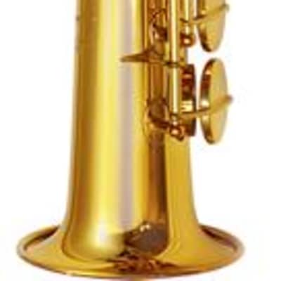 P Mauriat Pmsa Gc Intermediate Alto Saxophone Regular Jazz Reverb