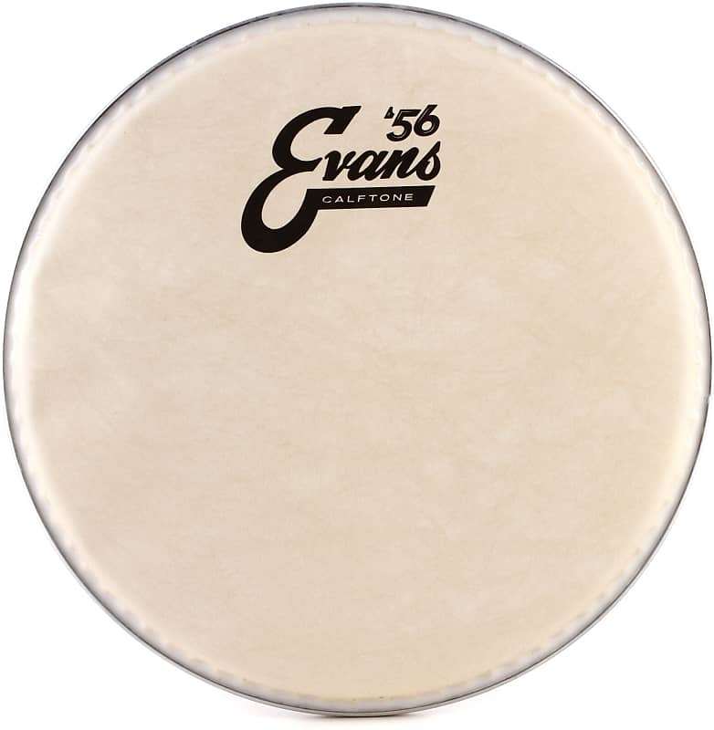 Evans Calftone Drumhead Inch Pack Bundle Reverb