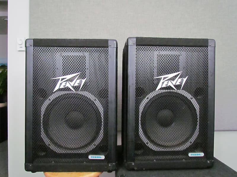 Peavey 112 DL PA Speakers Reverb