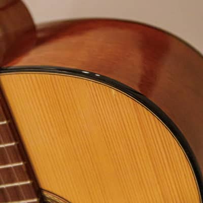 Strunal Size Classical Guitar Made In Europe Reverb