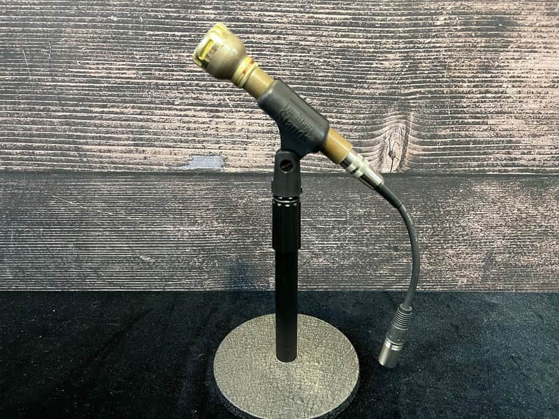 AKG D19 B200  Dynamic Vocal Microphone (Atlanta, GA)