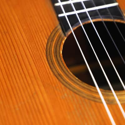 Terraza Resonador 1898 – Ex. Regino Sainz de la Maza? - extremely rare classical guitar by Carlos Terraza/Salvador Ibanez - Francisco Tárrega played one - video! image 12