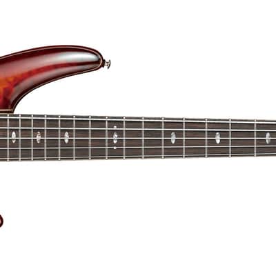 Ibanez SR2405W-BTL 5-String Premium Soundgear Brown Topaz Burst Low Gloss Electric Bass Guitar image 3