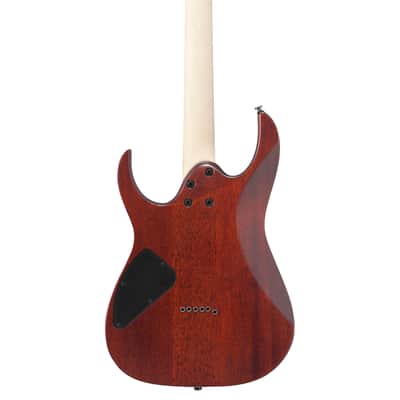 Ibanez RG Series RG421S Electric Guitar - Sea Shore Matte image 5