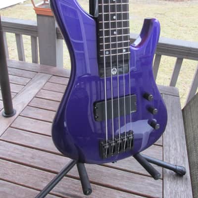 G. Gould GGi5 2016 Purple Metalflake 5 string bass image 1