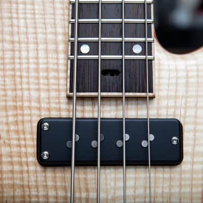 Solano Speed Shop 2025 969B-Coupe Ash Top Single Cut Bass image 14