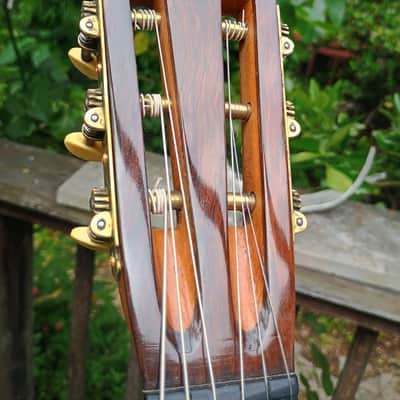 Washburn New Model 1897 Style Parlor Guitar, 1897-9, restored image 11
