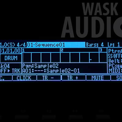 Akai MPC 1000 & MPC 2500 Display / Black & White / Plug & Play