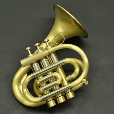 Brasspire Pocket Trumpet P7: Maybe the best pocket trumpet out there? image 1