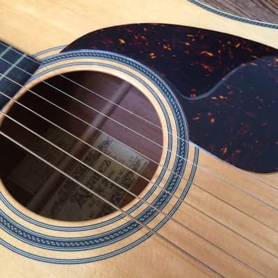 Alvarez Yairi DY57 1977 Spruce Top, Mahogany Back & Sides image 5