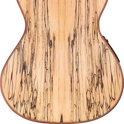 Cordoba 24T-CE Spruce Acoustic-Electric Tenor Ukulele image 3