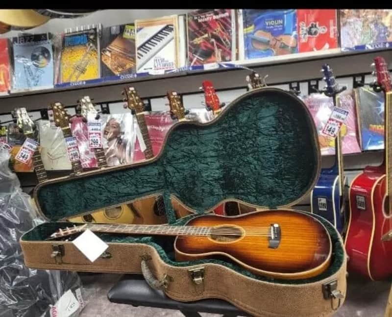 Stanford Acoustic Guitar Hard Case ~Hard Shell Wood Case with inbuilt Hygrometer image 1