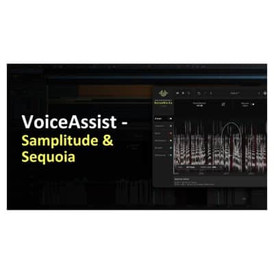 NoiseWorks VoiceAssist Advanced Vocal and Dialogue Cleanup (Activation Card) image 6