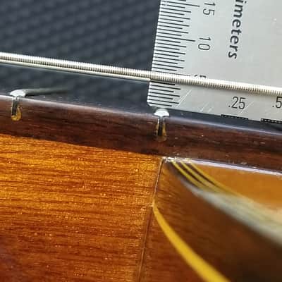 Fernandes/Takamine GC25 in 1975 image 18