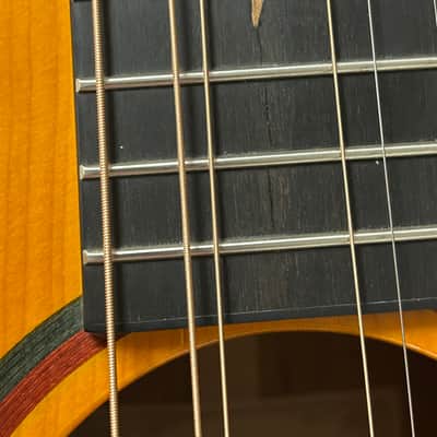 Cort LUXE Frank Gambale Series Adirondack Spruce/Blackwood Concert Cutaway Acoustic Electric Guitar- Natural Glossy image 11