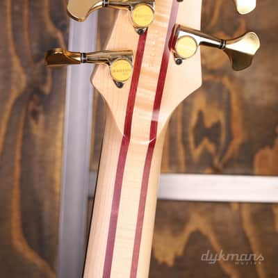 Ibanez JCSR2023RCY River Canyon image 14
