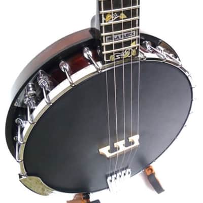 Gold Tone ML-1 Missing Link Bela Fleck Baritone Banjo w/ Case image 5