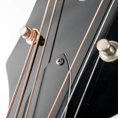Epiphone USA Texan, Vintage Sunburst | Demo image 7