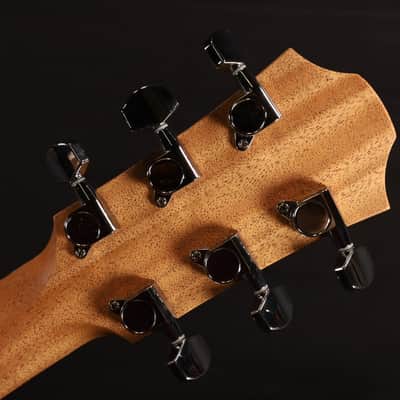 MINT 2025 NEW NECK Furch Blue Deluxe Gc-CM a Western Red Cedar / African Mahogany with Case & LR Baggs VTC Pickup CNR SYSTEM ACTIVE 970 image 5