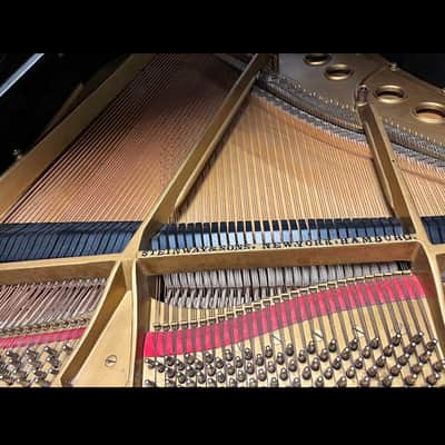 Steinway & Sons Model M – Ebony Grand Piano – 5'7 image 5