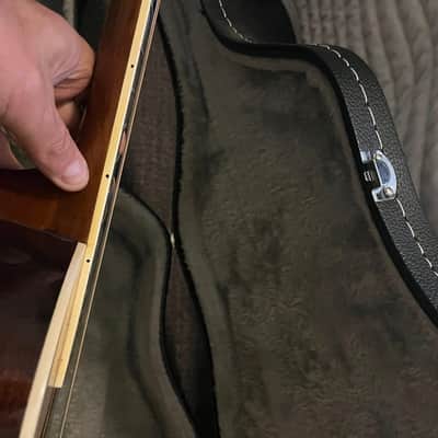 Yamaki YW-20 12-String Acoustic Guiatr image 11