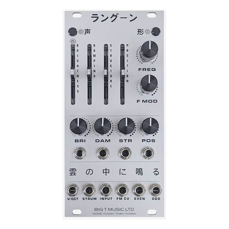 Big T Music Rangoon Eurorack Resonator Module (Silver) image 1