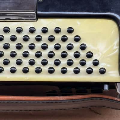Vintage Iorio Italian Piano Accordion with Mother of Pearl Keys image 13
