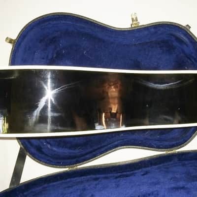 Alvarez 5019 AV Midnight special electric/ acoustic with Nice Hard Case image 6