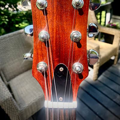 Brynmawr Custom Guitars Double Dip 2026 - Matte Finish image 11