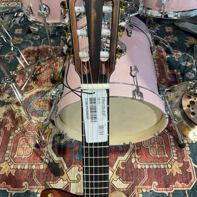 Ibanez FRH10NBSF Thinline Nylon Acoustic-Electric Guitar (Brown Sunburst) image 8