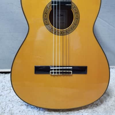 Aria Flamenco AC-150F (Spain) image 9