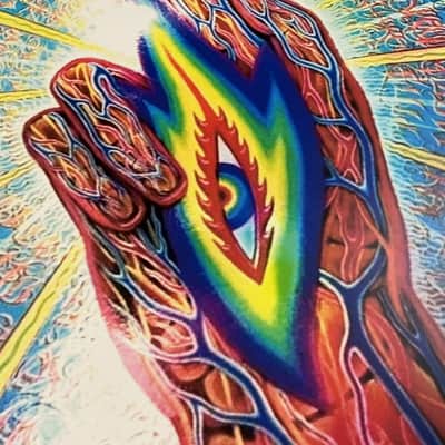 Remo 22” TOOL Danny Carey THE THIRD EYE 👁️ Bass Drum Head image 4