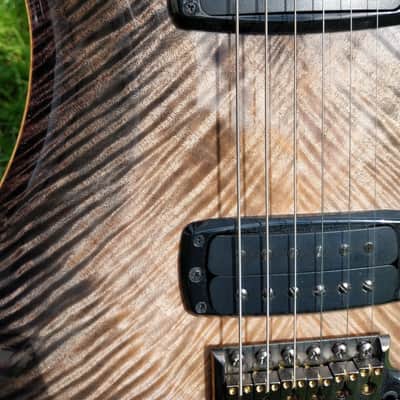 PRS Paul's Guitar Private Stock #9268 CITES image 15