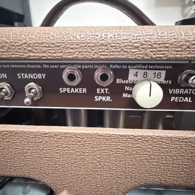 Bluetron Blueverb Hand Wired Tube Guitar Head 00’s - Brown Bild 8