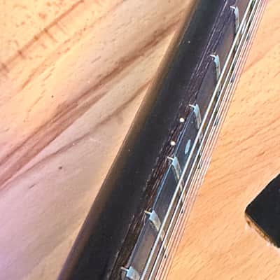 Gibson Firebrand "The SG" Deluxe 1982, All Original, Shaw Pickups image 18