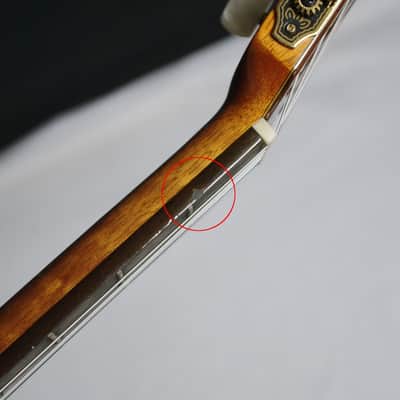 Used Aria A-60CWE classical acoustic electric Guitar - Nylon Strings - with Bag image 9