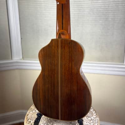 Asturias A18-11 11 String Altoguitar Alto Guitar image 5